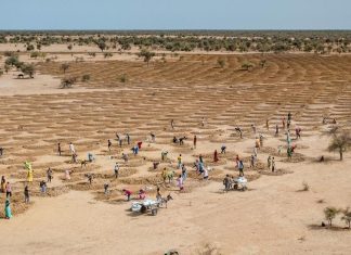 El cambio climático volvió a batir récords por tierra, mar y aire en 2021