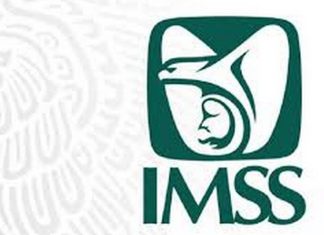 Sin seguridad social, 18.7% de la población mexicana: Amis