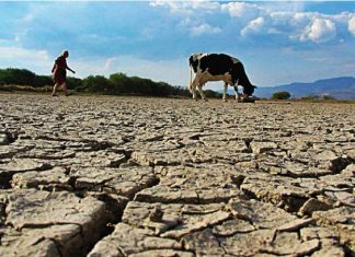 UNAM alerta por “severisima” sequía en gran parte de México