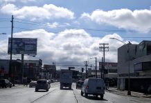 Autos «chocolate» afectan economía y son un riesgo de seguridad en México