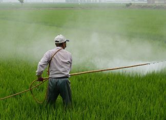 La masa salarial de los mexicanos en EE UU ya equivale al 55% del PIB de México