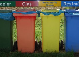 Acciones Sostenibles: Pensamiento y acciones circulares: la clave del reciclaje
