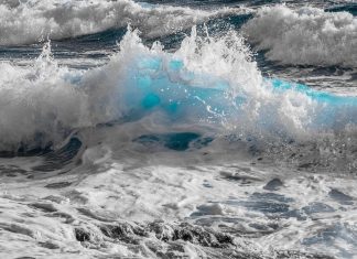 Acciones Sostenibles: Día mundial de los océanos: fuente clave sostenible del planeta.