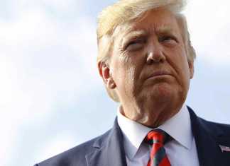 Pierde Trump, se fortalece el trumpismo