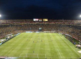 ¿Qué hacemos después del fracaso de la Selección Nacional de Futbol?
