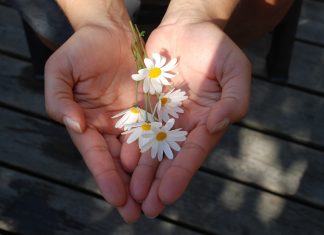 El bien no se nota Dar