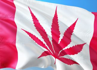 Canadá sí entiende; EU, al contrario, y México sufre