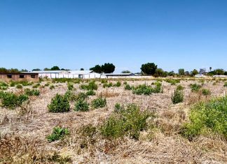 Se prenden focos rojos en el campo y de la 4T… ni sus luces campo sequia
