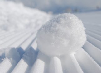 La bola de nieve y la elección de Estado