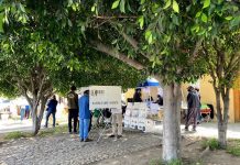 Elección Judicial nos regresó a los 70: Laboratorio Electoral