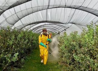 El campo a 100 días del suicidio agrícola si se mantiene prohibición del glisofato