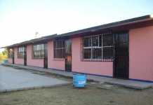 El suicidio educativo de México