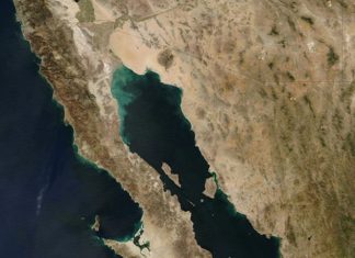 Baja California uno de los estados que destacaron en 2023