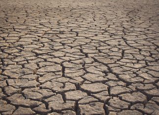 México se está quedando sin agua, 60% del país ya tiene sequía