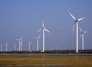 Proponen 8 regulaciones clave de sustentabilidad y ESG para este 2024 en México