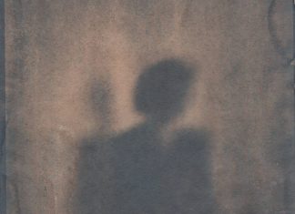 Violencia política de género en el proceso electoral 2024 mujer sombra