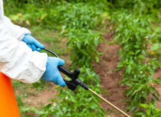 Prevé UMFFAAC crisis de productividad agrícola si se prohíbe el glifosato