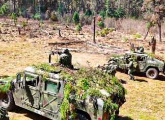 Lázaro nunca pidió al Ejército ejército