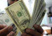 Han bajado 5.2% las remesas desde estados refugio para migrantes dinero_dólares