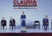La reivindicación de la técnica en el gobierno Gabinete Claudia Sheinbaum