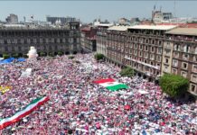 La Marea Rosa: una esperanza en el horizonte