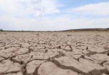 17 de junio: Día Mundial de Lucha contra la Desertificación y la Sequía