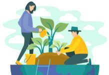 La economía circular en México: ¿un modelo viable para el futuro? economia circular