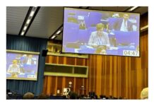 Participa México en foros de la ONU en materia espacial