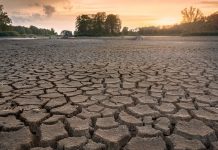 Frente a la sequía sequia