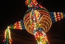 Posadas están en extinción y hasta 20% más caras: Anpec piñata