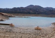 Crisis hídrica en México: 16 presas al borde del colapso con menos del 20% de llenado