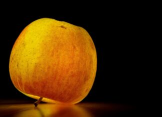 El fruto de la discordia