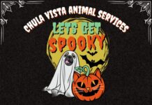 El Centro de Cuidado de Animales de Chula Vista retira todas las tarifas de adopción este mes