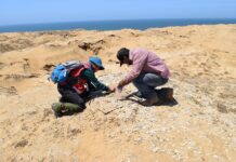 Abordará Museo del INAH investigación sobre antiguos pobladores en El Rosario, B.C. Museo del INAH