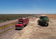 Se disparan nerviosismo e incertidumbre en sector agroalimentario: NexusAgronegocios campo