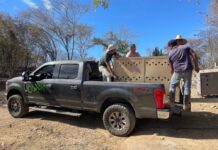 Robo violento a la unidad de rescate de OSTOK despoja vehículo clave para salvar animales OSTOK