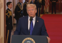 El peligro de calificar a los cárteles como grupos terroristas: ¿una estrategia equivocada?