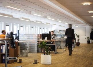 Empleo formal en México se frena en noviembre y perfila a 2024 como el peor de 15 años oficina