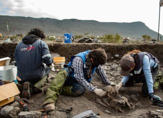 Arqueólogos del INAH documentan nueva variante de enterramiento para la cultura lajollana, en Baja California INAH