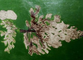 Festeja INAH Baja California XX Aniversario de la Salvaguardia del Patrimonio Inmaterial planta NAH