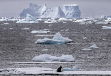 En un punto crítico, los glaciares del planeta