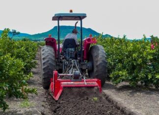 NexusAgronegocios: En riesgo 14% de la economía mexicana campo