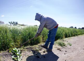 La inflación al productor en riesgo campo