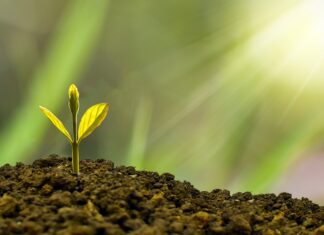 Prosperidad, bienestar y riqueza: Un compromiso con el futuro