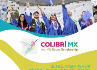 Becas Colibrí Mx 2024