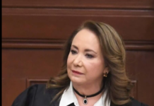 Yasmín Esquivel y la podredumbre de la justicia yasmin esquivel