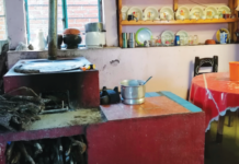 Programa de estufas de leña eficientes: ¿solución sustentable o gasto excesivo? estufa leña