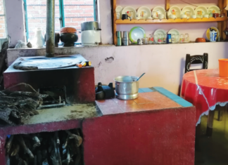 Programa de estufas de leña eficientes: ¿solución sustentable o gasto excesivo? estufa leña