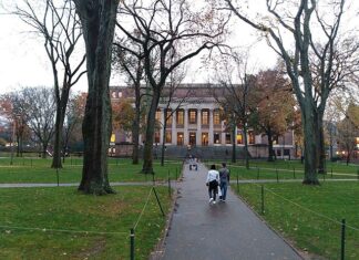 Contra las universidades