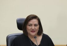 “No podemos convertir las campañas en un coliseo romano”: especialistas advierten riesgos del nuevo acuerdo del INE Guadalupe Tadei